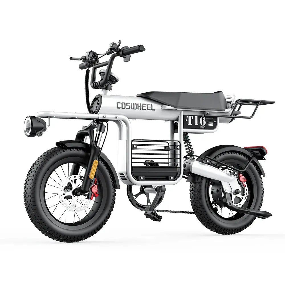 【COSWHEEL】電動輔助自行車 T16#15AH-15AH 120KM續航